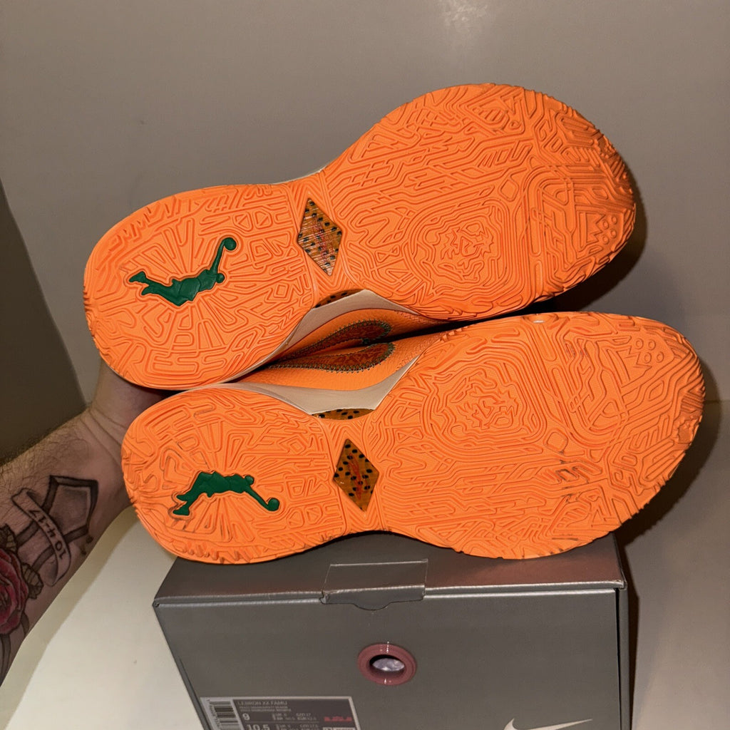 Size 9 - Nike Florida A&M University x A.P.B. x LeBron 20 From Tally To The Worl