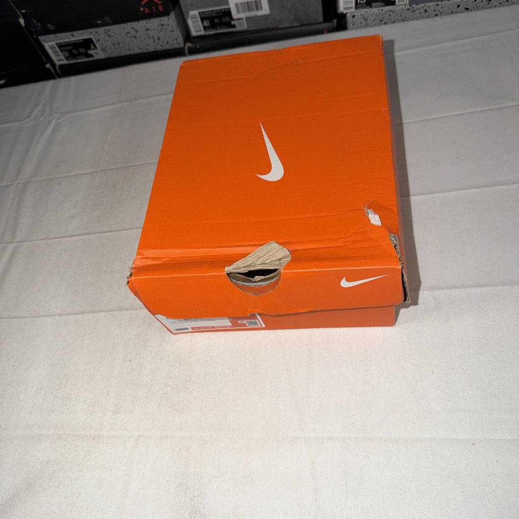 Nike Flex Runner 3 Shoes for Children 1Y UNISEX-FN1294-005