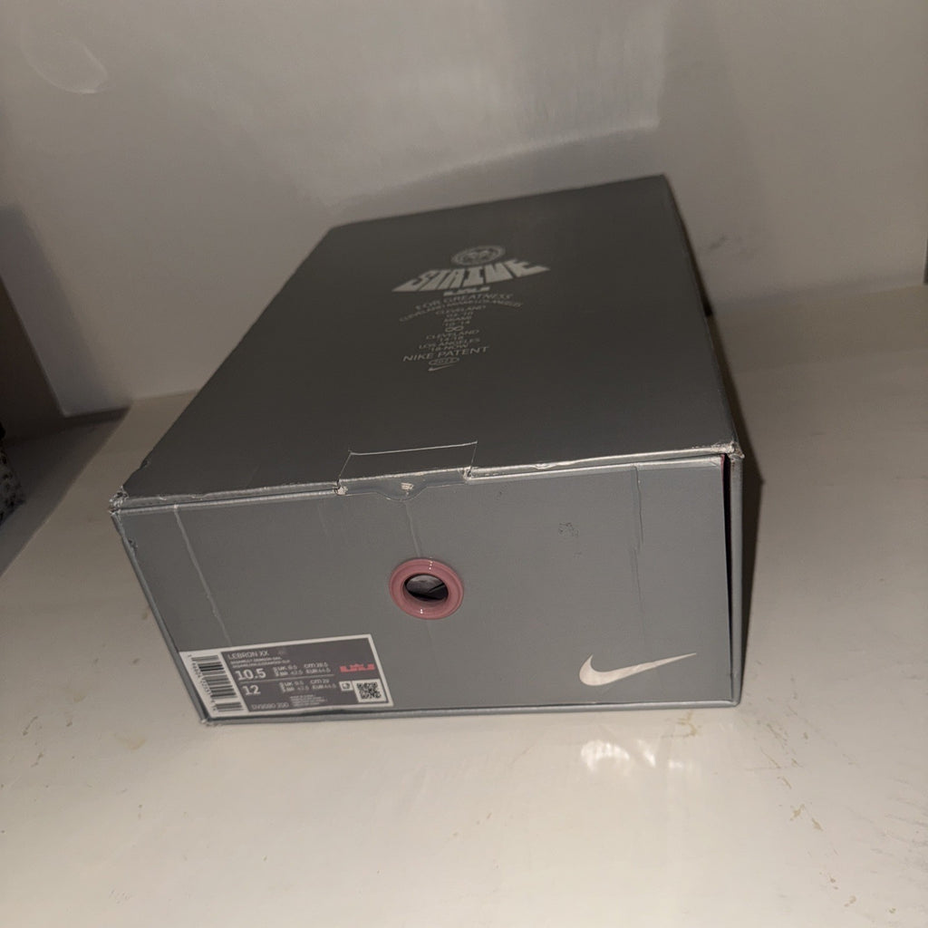 Lebron XX “Four Horsemen” dv9090-200 Basketball Shoes SIZE 10.5M