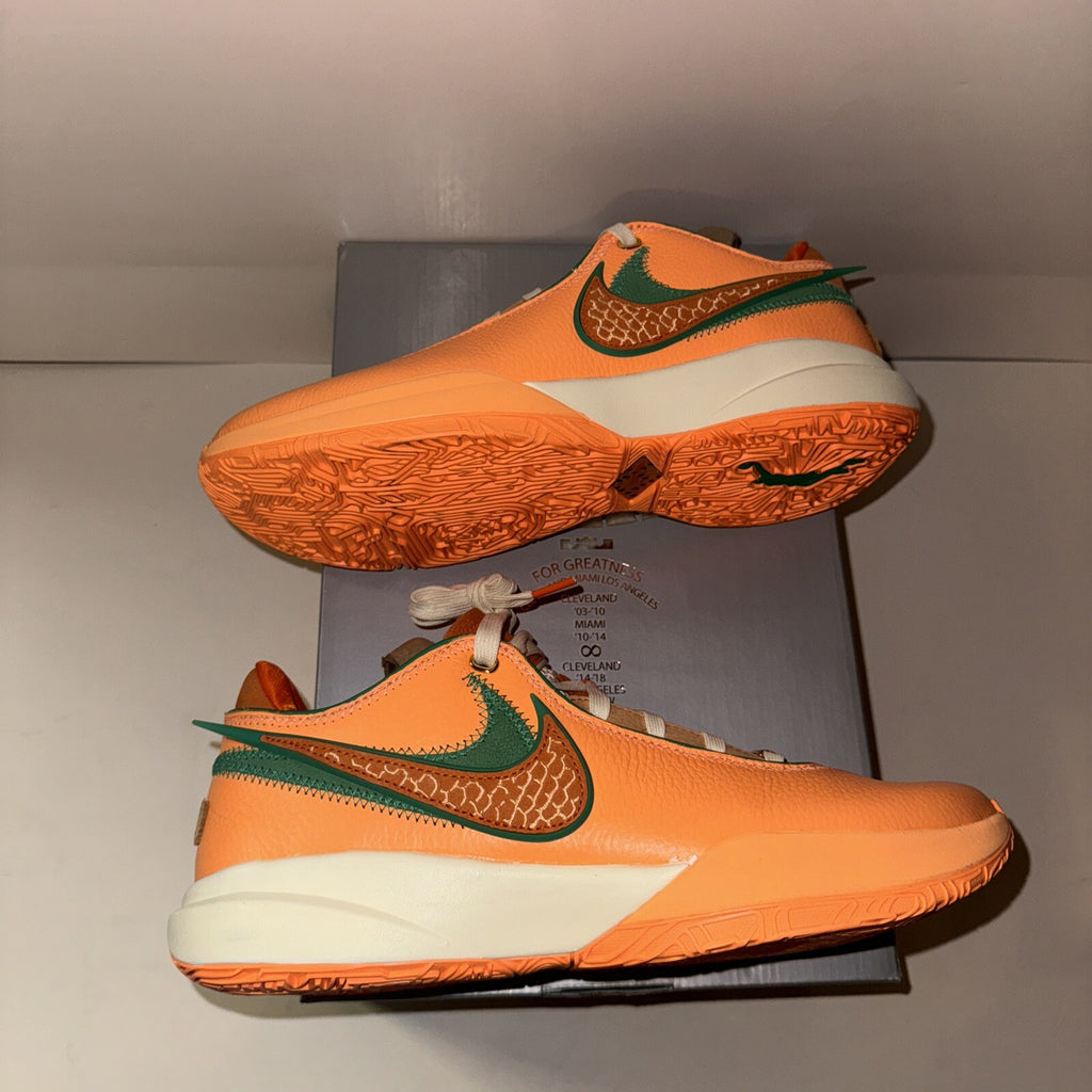 Size 9 - Nike Florida A&M University x A.P.B. x LeBron 20 From Tally To The Worl