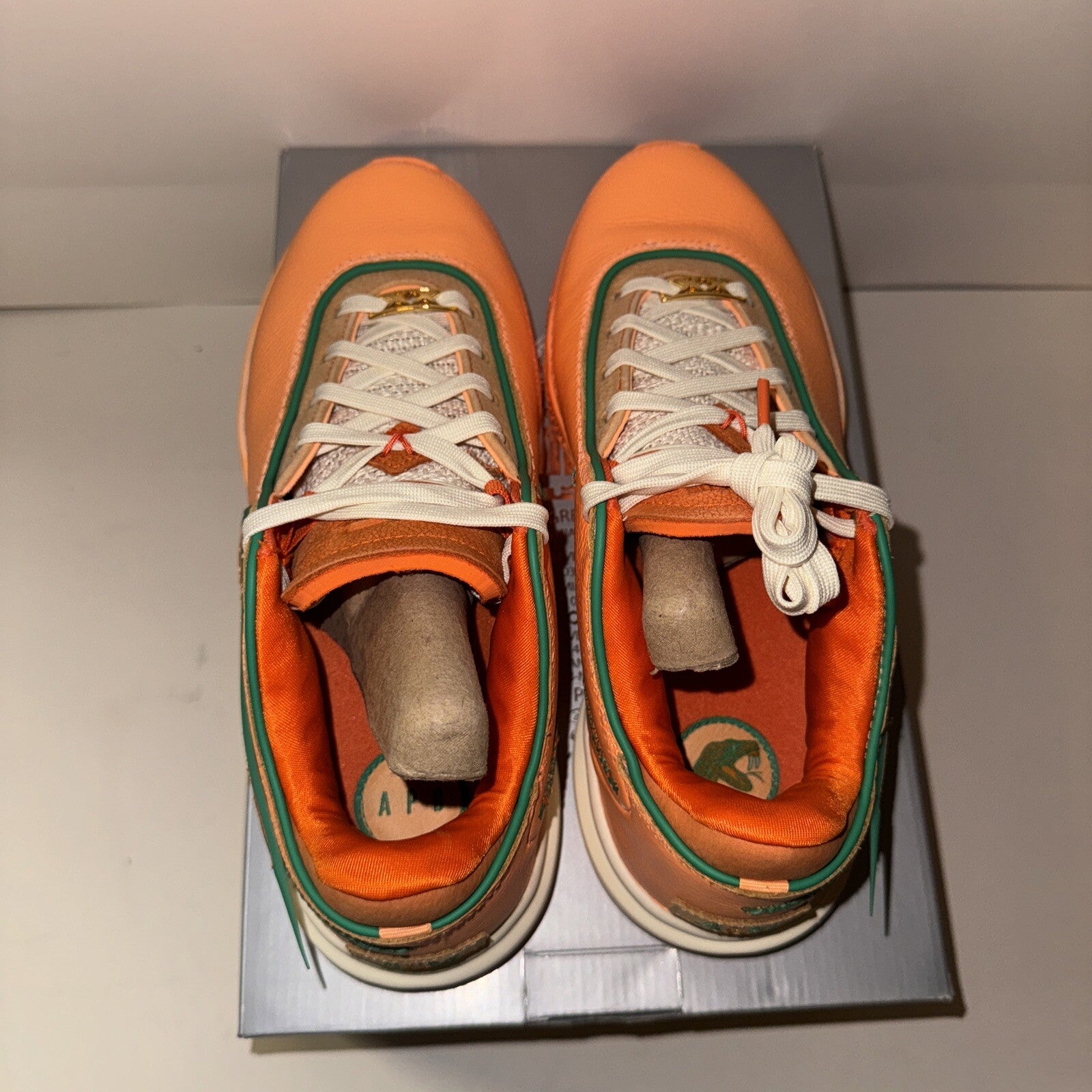 Size 9 - Nike Florida A&M University x A.P.B. x LeBron 20 From Tally To The Worl