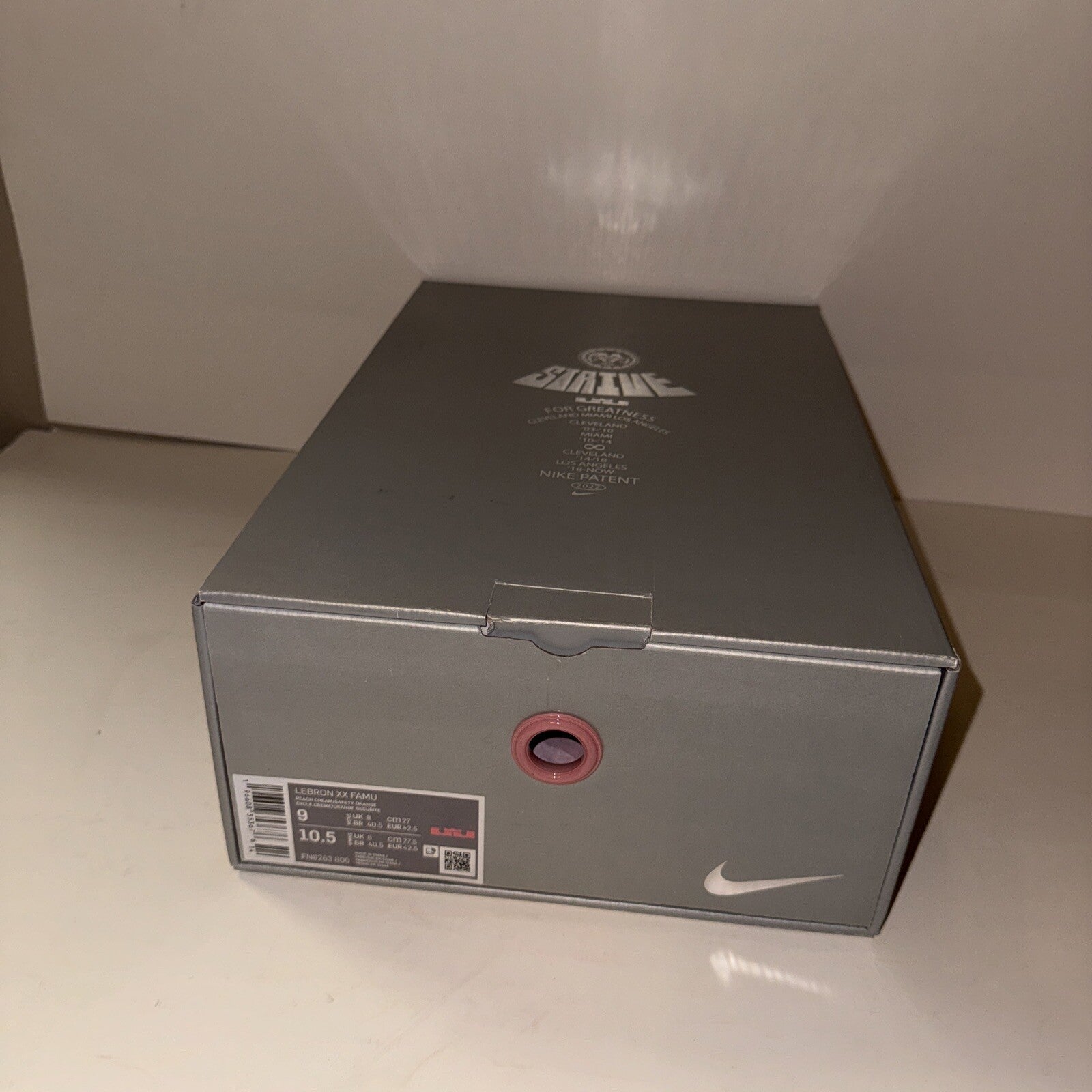 Size 9 - Nike Florida A&M University x A.P.B. x LeBron 20 From Tally To The Worl