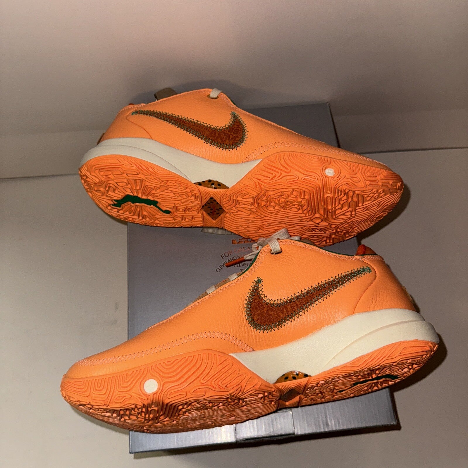 Size 9 - Nike Florida A&M University x A.P.B. x LeBron 20 From Tally To The Worl